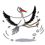 cigogne.jpg