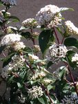 DSCF0759.JPG