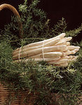 asperges-blanches-alsace.jpg