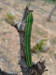 20140404_154844.jpg