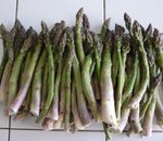 Asperges-.jpg