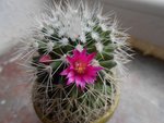 DSCN3286.JPG