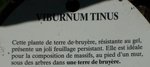 Et tique....jpg