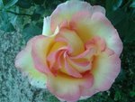 20140516_193038.jpg
