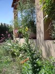 DSCF0916.JPG