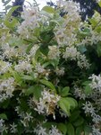 photo0557.jpg