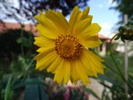 DSC04121.JPG