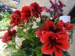 DSC04189.JPG