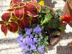 DSC04190.JPG