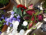 DSC04192.JPG