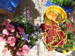 DSC04195.JPG