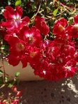 DSC04196.JPG