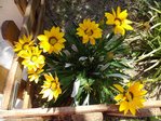 DSC04197.JPG