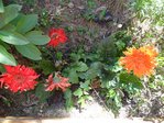 DSC04198.JPG