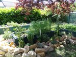 DSC04201.JPG