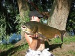 Amour blanc 20,100kg.jpg