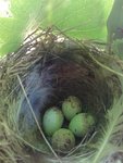 20140530_154126.jpg