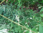 DSC04215.JPG