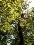 IMG_20140607_162138-r.jpg