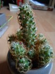 DSCN3879.JPG