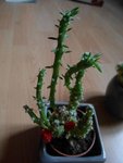 DSCN3882.JPG
