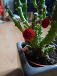 DSCN3881.JPG
