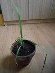 DSCN3927.JPG