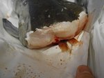 DSCN4288.JPG