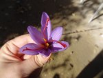 DSC04860.JPG