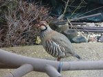 DSC05128.JPG