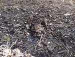 DSC05213.JPG