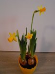 DSCN5639.JPG