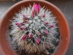 DSCN5859.JPG