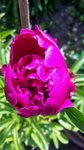 20150514_141109.jpg