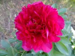 DSC05423.JPG