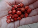 DSC05496.JPG