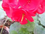 DSCN5984.JPG