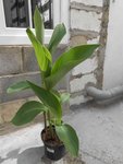 DSCN6529.JPG