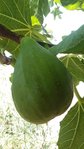 20150701_103722.jpg