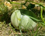 20150803_132626.jpg