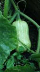 20151003_100910.jpg