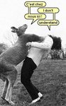 kangaroo-fight.jpg
