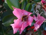 DSC07499.JPG