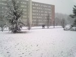 08032010016.jpg