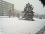 08032010017.jpg