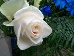 100_0590b.jpg