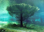 photo-mystère.jpg