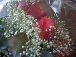 DSCN9491.JPG