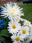 100_0572a.jpg