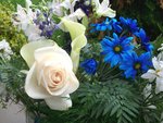 100_0581a.jpg